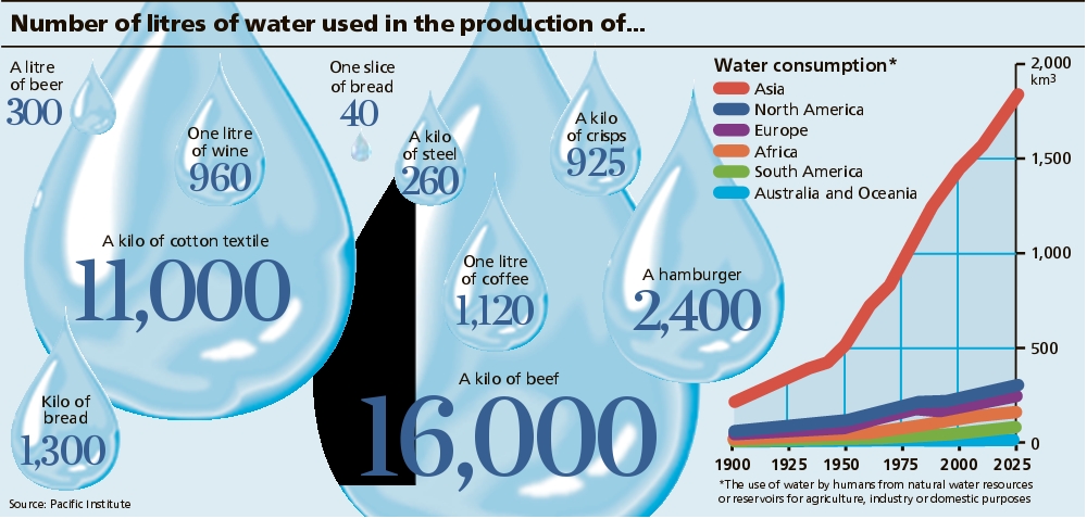 Number of Liters of Water Used