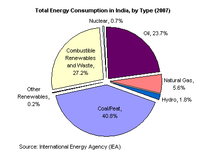 Total Energy Consumption in India, by Type (2007)