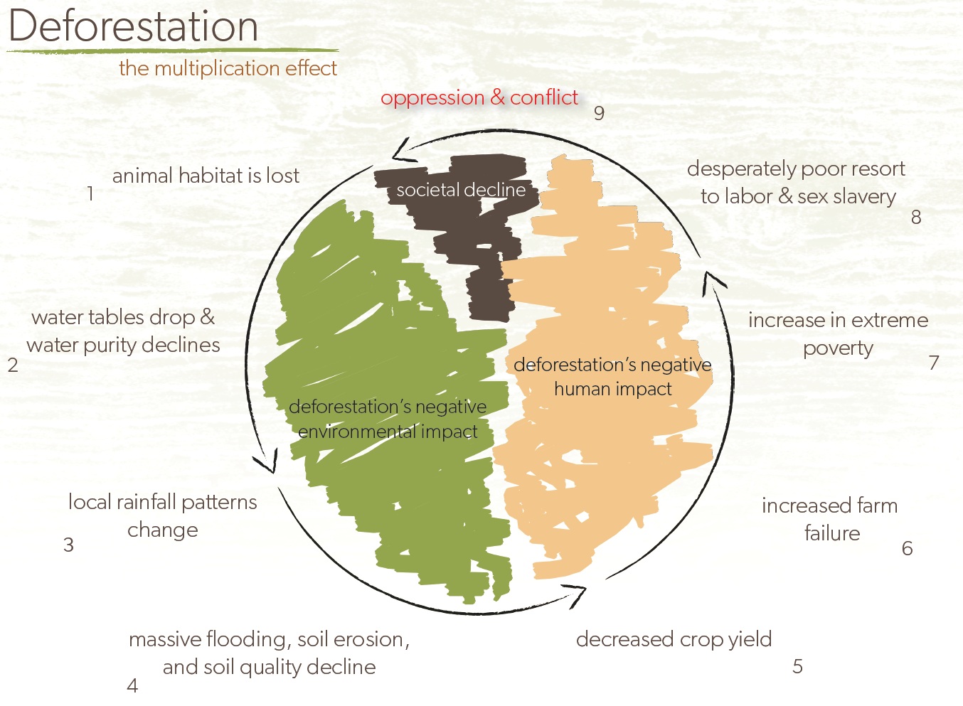 Deforestation - The multiplication effect