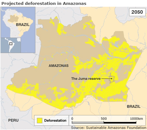 Projected deforastation in Amazonas