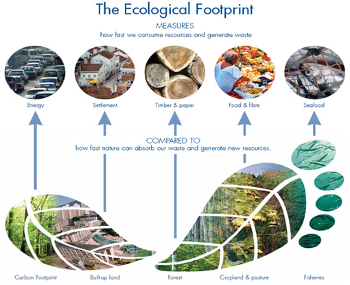 The Metrics for Measuring the Ecological Footprint of Humans on Planet Earth