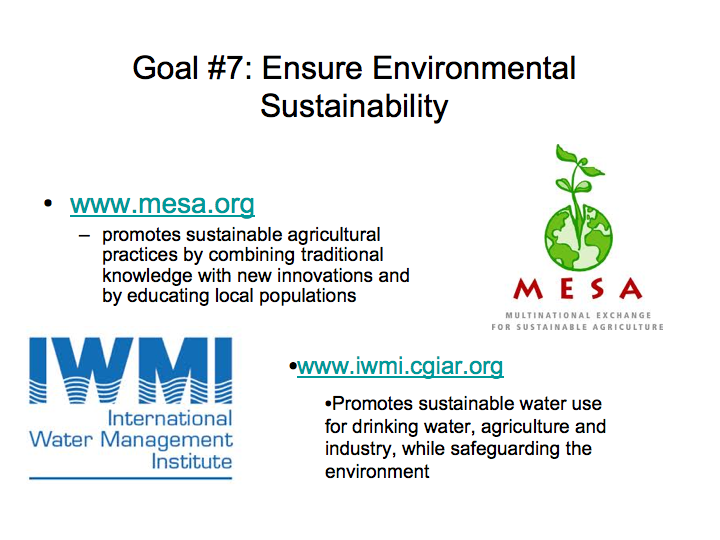 Organizations Working to Create Environmental Sustainability