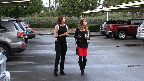 Nicole Capretz, the director of Climate Action Campaign, shows KPBS reporter Claire Trageser the solar trees in the parking lot of Kyocera, Jan. 4, 2016.